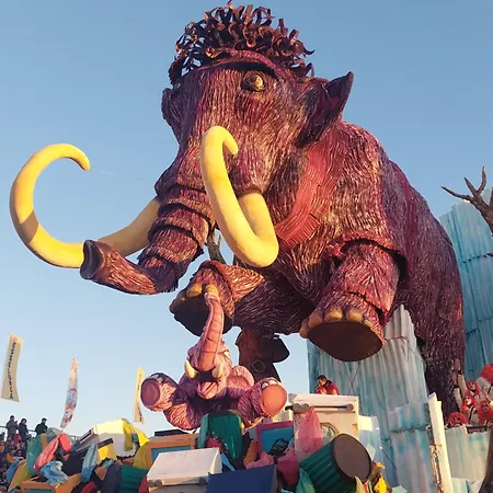 Monolocale Pura Vida Viareggio