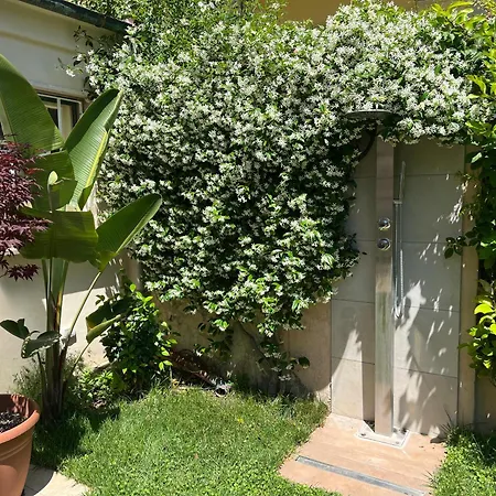 Monolocale Pura Vida * Viareggio